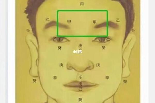 探秘女命己土,揭示她的配偶星与命运关系 探秘女命己土,揭示她的配偶星与命运关系