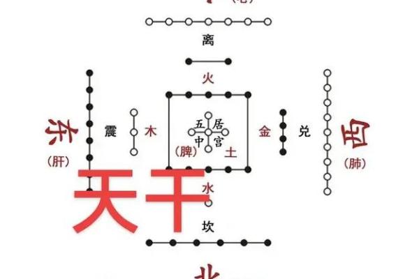探秘女命己土,揭示她的配偶星与命运关系 探秘女命己土,揭示她的配偶星与命运关系