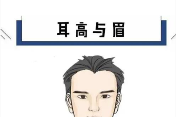 眉毛有八字的人:命运解读与生活启示 眉毛有八字的人:命运解读与生活启示
