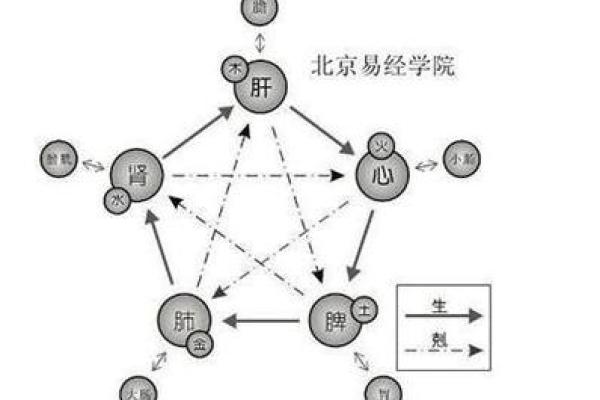 六十岁属什么命:五行与生命的哲学探讨 六十岁属什么命:五行与生命的哲学探讨