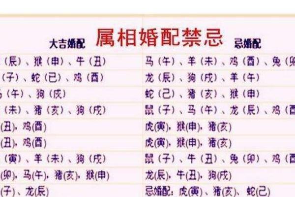 命格不合:如何通过生肖解析人际关系的密钥 命格不合:如何通过生肖解析人际关系的密钥