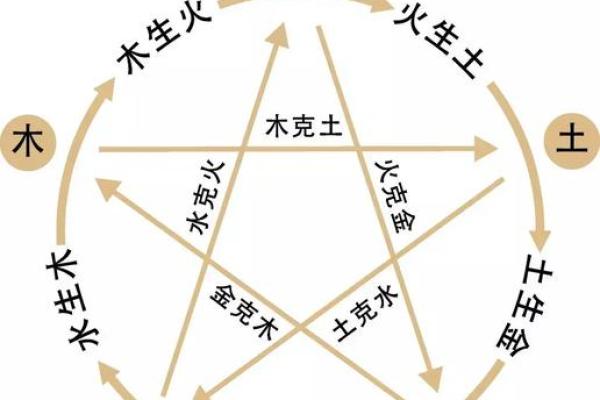 农历三月初六出生的女生命运解读与性格特点 农历三月初六出生的女生命运解读与性格特点