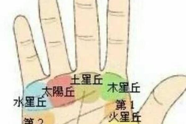 男生手相解析:揭示你命运的秘密与人生方向 男生手相解析:揭示你命运的秘密与人生方向