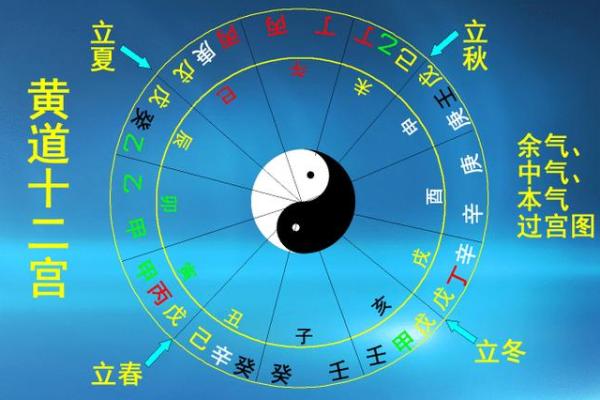 论“地支一巳”命的深刻内涵与实践意义探讨 论“地支一巳”命的深刻内涵与实践意义探讨