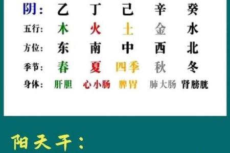 探究女命天干癸水的深刻意义与人生启示