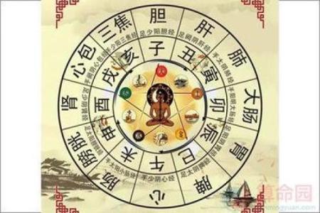 命里缺水的人生运势与调理方法探讨