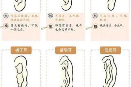男命夫妻宫坐沐浴：揭开命理中的爱情秘密与人生启示