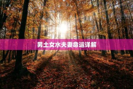 探寻土命的奥秘：如何让你的命运更加旺盛？