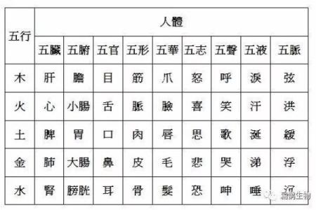 五行命理与中医：探寻你的健康密码