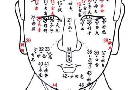 揭示女人的命运：从娘娘命到多种生命轨迹的探讨