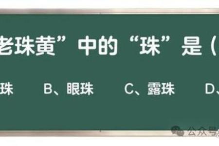 探究女命三进水的深意与人生智慧