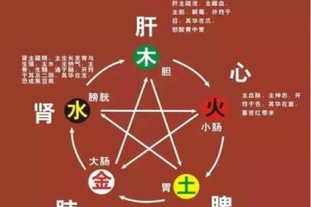 探索八字命理：两个字五行属性的秘境之旅