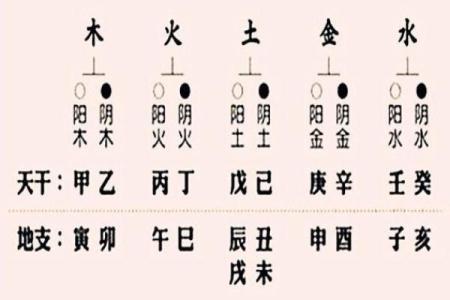 木命克什么？揭开五行之谜，探索木命的奥秘！