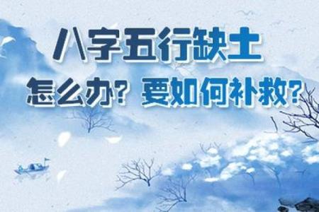 炉中火命与木命的完美搭配：探寻命理的和谐之道