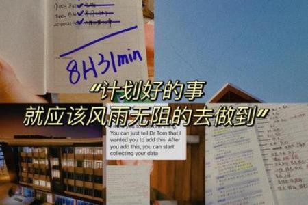 炉中火命的人该如何选择理想伴侣？