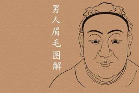 男人没有螺纹的命理解析：深藏于内的性格与运势
