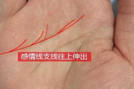 路旁土命女人：如何找到命中注定的另一半？