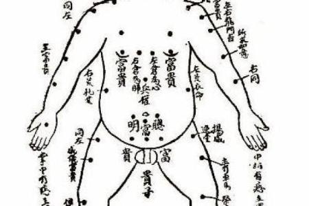 命理解密：哪些因素能预测贵子的降临？