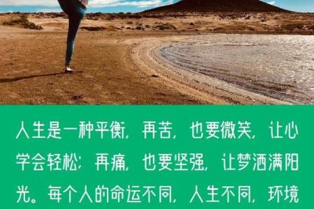 六十九岁属马男士的命运解析与人生哲理