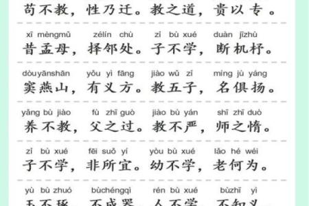 命的简写拼音是什么？探讨命的意义与哲学