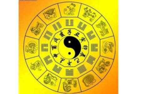 1994年11月出生的人命理解析与人生走向