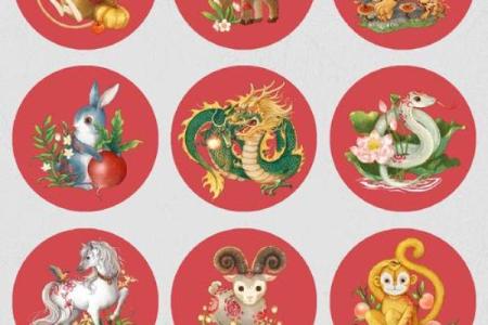揭秘男生属相与命运：哪些生肖运势更佳？