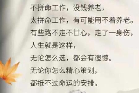 没有财星的男命意味着什么？深度解析与人生选择