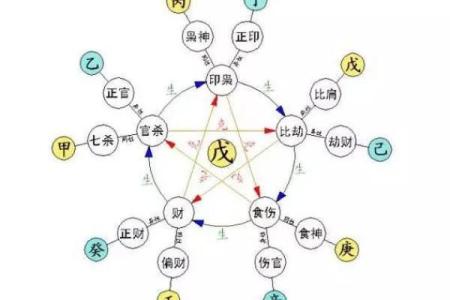 食神在女命中的象征与意义：解析对应部位与性格特征