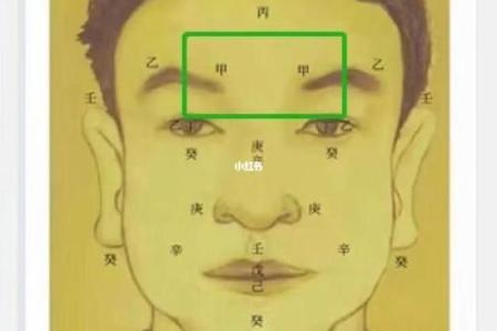 探秘女命己土，揭示她的配偶星与命运关系