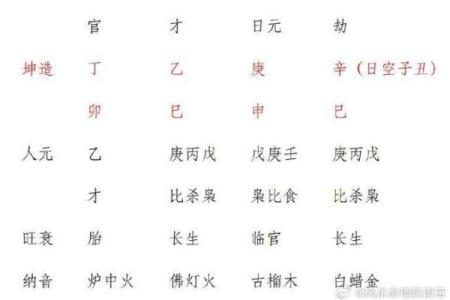 探索乙巳日女命的生肖象征与命理解析