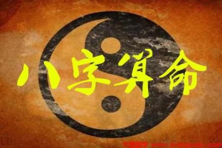 探寻马字生辰八字的命理奥秘，揭示你的命运之路！