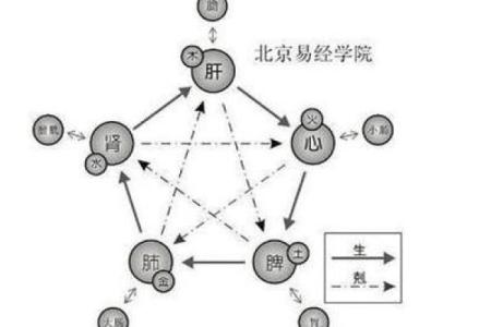 六十岁属什么命：五行与生命的哲学探讨