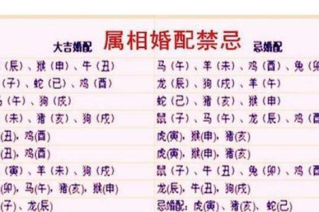 命格不合：如何通过生肖解析人际关系的密钥