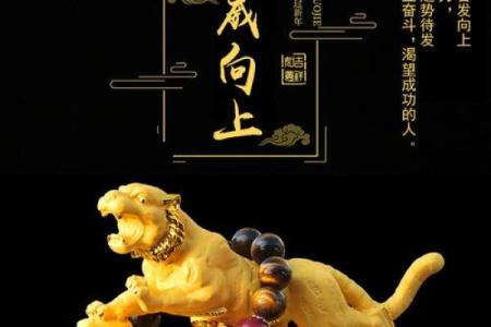 命里金多的虎适合佩戴什么饰品，来提升运势与魅力！