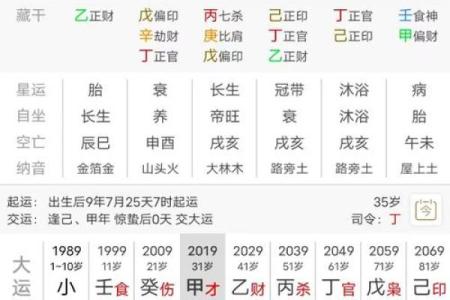 论“地支一巳”命的深刻内涵与实践意义探讨