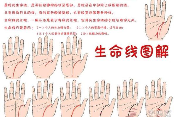 命中缺财的女性命理解析:从运势看人生的精彩与挑战 命中缺财的女性命理解析:从运势看人生的精彩与挑战