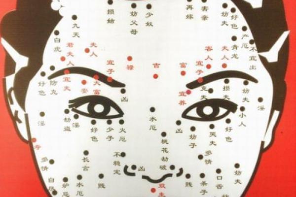 乙辛相冲的女人:命运的转折与人生的变迁 乙辛相冲的女人:命运的转折与人生的变迁