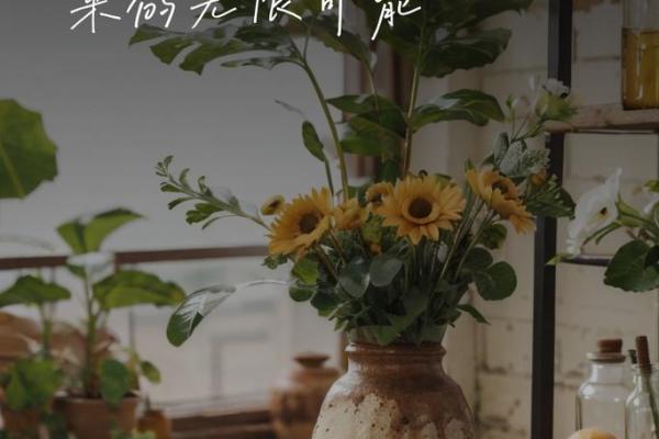 女命十五生:绽放光彩的无限可能 女命十五生:绽放光彩的无限可能