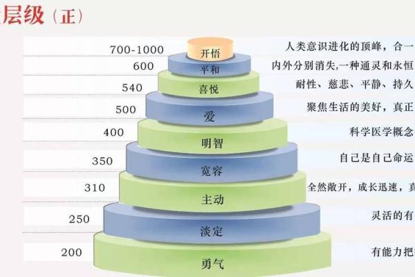 探索命宫与日月角,揭示你的命运秘密! 探索命宫与日月角,揭示你的命运秘密!
