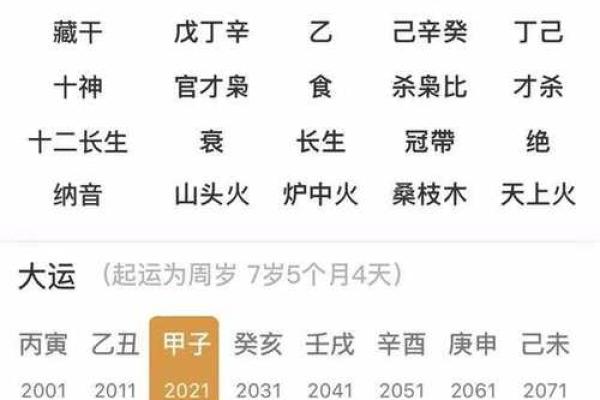 男命伤官见官的危害及其应对策略解析 男命伤官见官的危害及其应对策略解析
