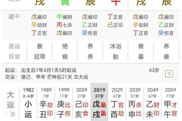 天干地支的奥秘:命格探秘与人生指引 天干地支的奥秘:命格探秘与人生指引