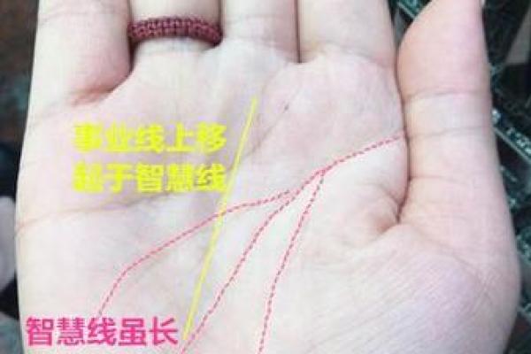 探秘女命4.8:揭示命运背后的密码与智慧 探秘女命4.8:揭示命运背后的密码与智慧