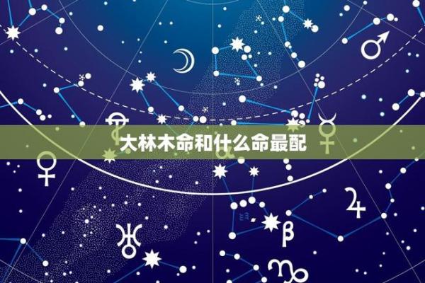 木命者的命运解析:遇见什么命运更佳? 木命者的命运解析:遇见什么命运更佳?