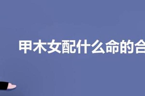 木命者的命运解析:遇见什么命运更佳? 木命者的命运解析:遇见什么命运更佳?