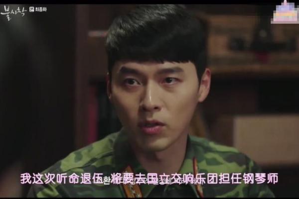 没有爱情的命格:孤独与成长的交响曲 没有爱情的命格:孤独与成长的交响曲
