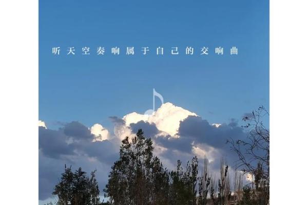 没有爱情的命格:孤独与成长的交响曲 没有爱情的命格:孤独与成长的交响曲