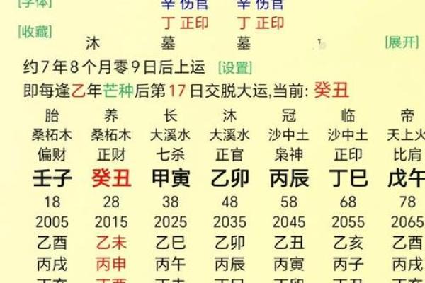 零六年出生者的命理解析:天赋与运势的完美结合 零六年出生者的命理解析:天赋与运势的完美结合