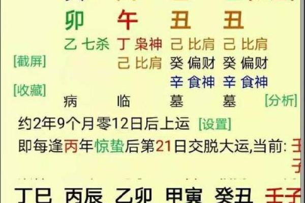 零六年出生者的命理解析:天赋与运势的完美结合 零六年出生者的命理解析:天赋与运势的完美结合