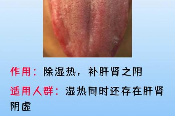 了解命理中的阳虚:如何调理与恢复正能量 了解命理中的阳虚:如何调理与恢复正能量