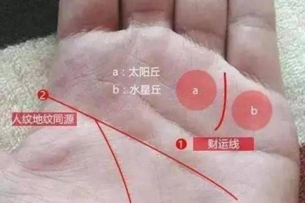 从女人手的男生看命格,揭示你的人生密码! 从女人手的男生看命格,揭示你的人生密码!